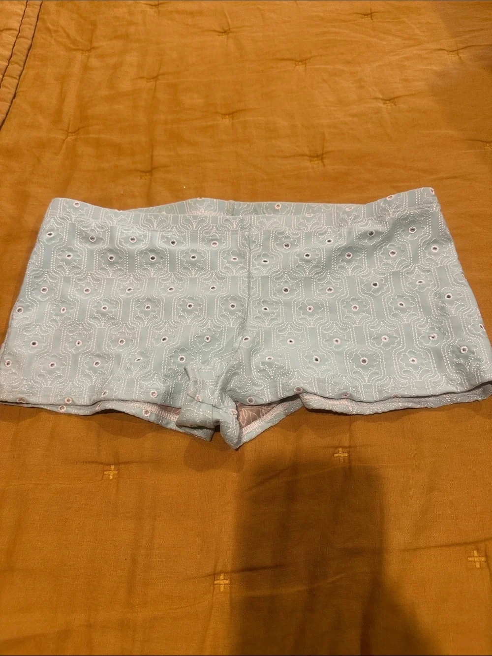 Free People Light Blue Eyelet Bikini Bottoms